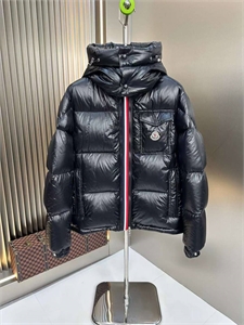 {{productViewItem.photos[photoViewList.activeNavIndex].Alt || productViewItem.photos[photoViewList.activeNavIndex].Description || 'Пуховик Moncler'}}