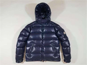 {{productViewItem.photos[photoViewList.activeNavIndex].Alt || productViewItem.photos[photoViewList.activeNavIndex].Description || 'Пуховик moncler'}}