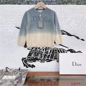 Свитер Christian Dior BMS-98920