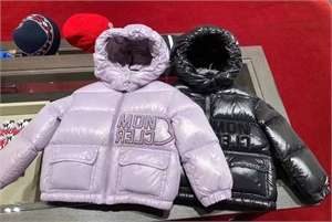 Пуховик Moncler 14879