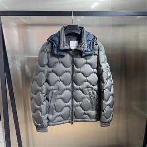 {{productViewItem.photos[photoViewList.activeNavIndex].Alt || productViewItem.photos[photoViewList.activeNavIndex].Description || 'Пуховик moncler'}}