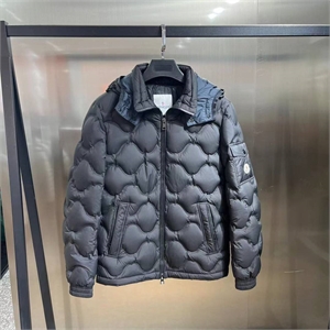 {{productViewItem.photos[photoViewList.activeNavIndex].Alt || productViewItem.photos[photoViewList.activeNavIndex].Description || 'Пуховик moncler'}}