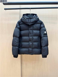 {{productViewItem.photos[photoViewList.activeNavIndex].Alt || productViewItem.photos[photoViewList.activeNavIndex].Description || 'Пуховик moncler'}}