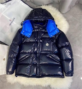 {{productViewItem.photos[photoViewList.activeNavIndex].Alt || productViewItem.photos[photoViewList.activeNavIndex].Description || 'куртка трансформер moncler'}}