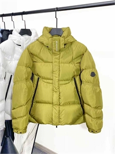 {{productViewItem.photos[photoViewList.activeNavIndex].Alt || productViewItem.photos[photoViewList.activeNavIndex].Description || 'Куртка moncler'}}