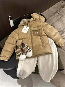 {{productViewItem.photos[photoViewList.activeNavIndex].Alt || productViewItem.photos[photoViewList.activeNavIndex].Description || 'Пуховик moncler'}}