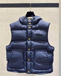 {{productViewItem.photos[photoViewList.activeNavIndex].Alt || productViewItem.photos[photoViewList.activeNavIndex].Description || 'Жилет CELINE'}}