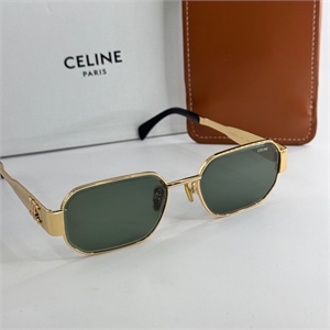 Очки CELINE 120289