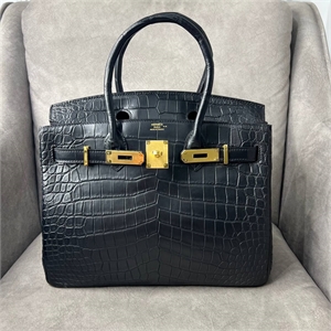 {{productViewItem.photos[photoViewList.activeNavIndex].Alt || productViewItem.photos[photoViewList.activeNavIndex].Description || 'Сумка HERMES 25 см'}}
