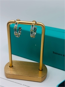 {{productViewItem.photos[photoViewList.activeNavIndex].Alt || productViewItem.photos[photoViewList.activeNavIndex].Description || 'Серьги Tiffany&amp;Co Серебро 925'}}