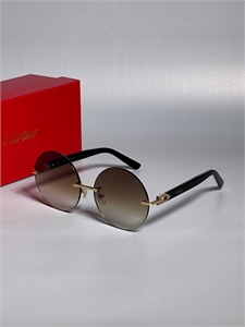 {{productViewItem.photos[photoViewList.activeNavIndex].Alt || productViewItem.photos[photoViewList.activeNavIndex].Description || 'Очки Cartier'}}