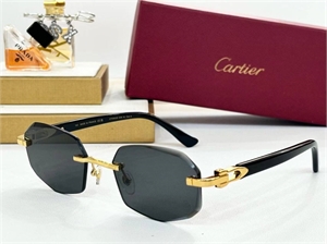 Очки Cartier 125735