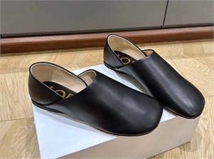 {{productViewItem.photos[photoViewList.activeNavIndex].Alt || productViewItem.photos[photoViewList.activeNavIndex].Description || 'Мюли LOEWE'}}