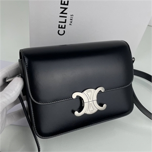 {{productViewItem.photos[photoViewList.activeNavIndex].Alt || productViewItem.photos[photoViewList.activeNavIndex].Description || 'Сумка CELINE'}}