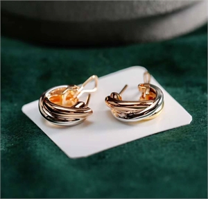 {{productViewItem.photos[photoViewList.activeNavIndex].Alt || productViewItem.photos[photoViewList.activeNavIndex].Description || 'Серьги Cartier'}}