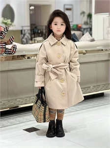 {{productViewItem.photos[photoViewList.activeNavIndex].Alt || productViewItem.photos[photoViewList.activeNavIndex].Description || 'Плащ Burberry'}}