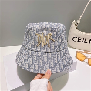 Панама DIOR 129243