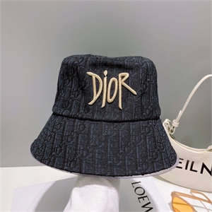 Панама DIOR 129490