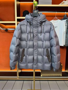 Пуховик Zegna 43973