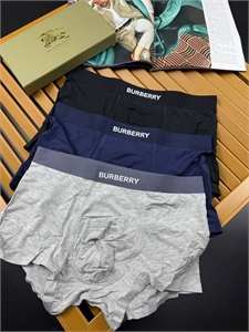 Трусы BURBERRY ( нижняя бельё) 131621