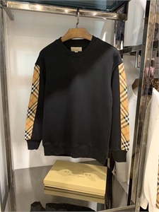 {{productViewItem.photos[photoViewList.activeNavIndex].Alt || productViewItem.photos[photoViewList.activeNavIndex].Description || 'Толстовка BURBERRY'}}