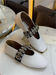 {{productViewItem.photos[photoViewList.activeNavIndex].Alt || productViewItem.photos[photoViewList.activeNavIndex].Description || 'Балетки ALAIA'}}