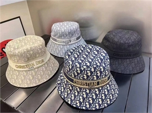 Панама DIOR 134765