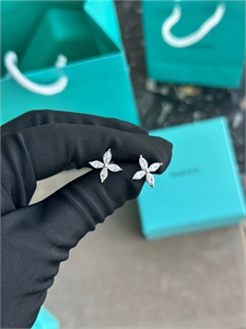 {{productViewItem.photos[photoViewList.activeNavIndex].Alt || productViewItem.photos[photoViewList.activeNavIndex].Description || 'Серьги Tiffany&amp;Co Серебро 925 п'}}