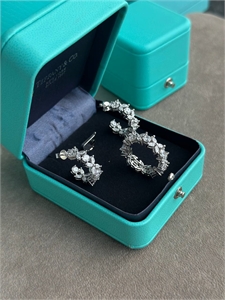 {{productViewItem.photos[photoViewList.activeNavIndex].Alt || productViewItem.photos[photoViewList.activeNavIndex].Description || 'Серьги Tiffany&amp;Co Серебро 925 п'}}
