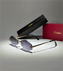 Очки CARTIER 138569