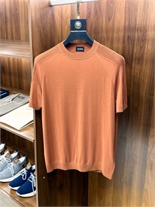 Футболка ZEGNA 138681
