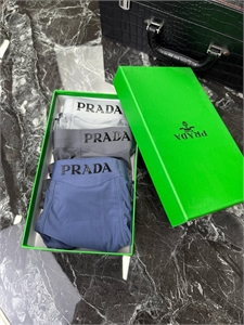 {{productViewItem.photos[photoViewList.activeNavIndex].Alt || productViewItem.photos[photoViewList.activeNavIndex].Description || 'Нижнее бельё PRADA'}}