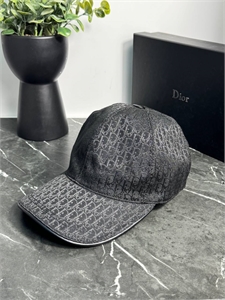 Кепка DIOR 139748