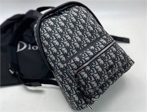 {{productViewItem.photos[photoViewList.activeNavIndex].Alt || productViewItem.photos[photoViewList.activeNavIndex].Description || 'Рюкзак DIOR'}}
