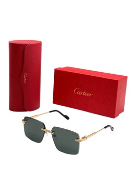 Очки Cartier 22573