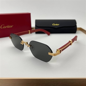 Очки Cartier 64712