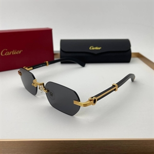 Очки Cartier 64713