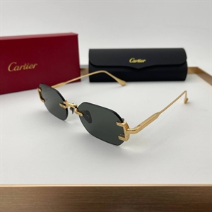 Очки Cartier 64716