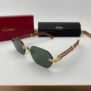 Очки Cartier 64717