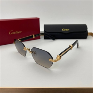 Очки Cartier 64719