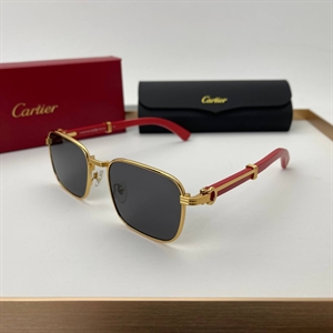 Очки Cartier 64721