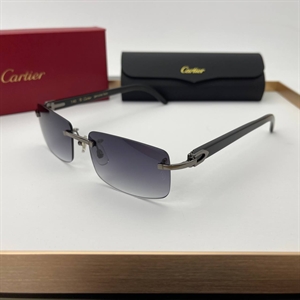 Очки Cartier 64722