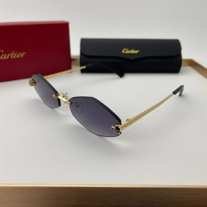 Очки Cartier 64723