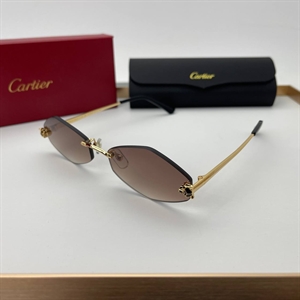 Очки Cartier 64725