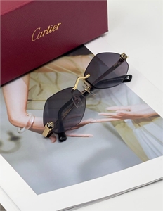 {{productViewItem.photos[photoViewList.activeNavIndex].Alt || productViewItem.photos[photoViewList.activeNavIndex].Description || 'Очки Cartier'}}