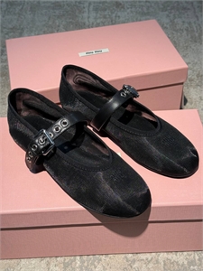 {{productViewItem.photos[photoViewList.activeNavIndex].Alt || productViewItem.photos[photoViewList.activeNavIndex].Description || 'Балетки MIU MIU'}}