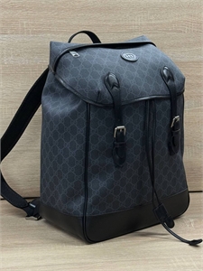 {{productViewItem.photos[photoViewList.activeNavIndex].Alt || productViewItem.photos[photoViewList.activeNavIndex].Description || 'Рюкзак GUCCI'}}