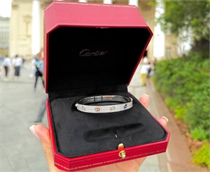 {{productViewItem.photos[photoViewList.activeNavIndex].Alt || productViewItem.photos[photoViewList.activeNavIndex].Description || 'Браслет CARTIER'}}
