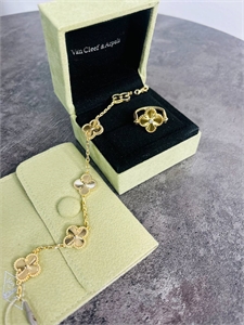 {{productViewItem.photos[photoViewList.activeNavIndex].Alt || productViewItem.photos[photoViewList.activeNavIndex].Description || 'Браслет Van Cleef 5 мотивов'}}