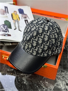 Панама  DIOR 146729